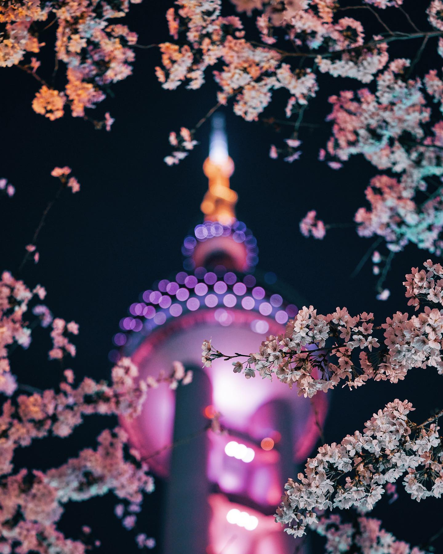 Aaron Zhou — Photographer in Shanghai — Portfolio work 3