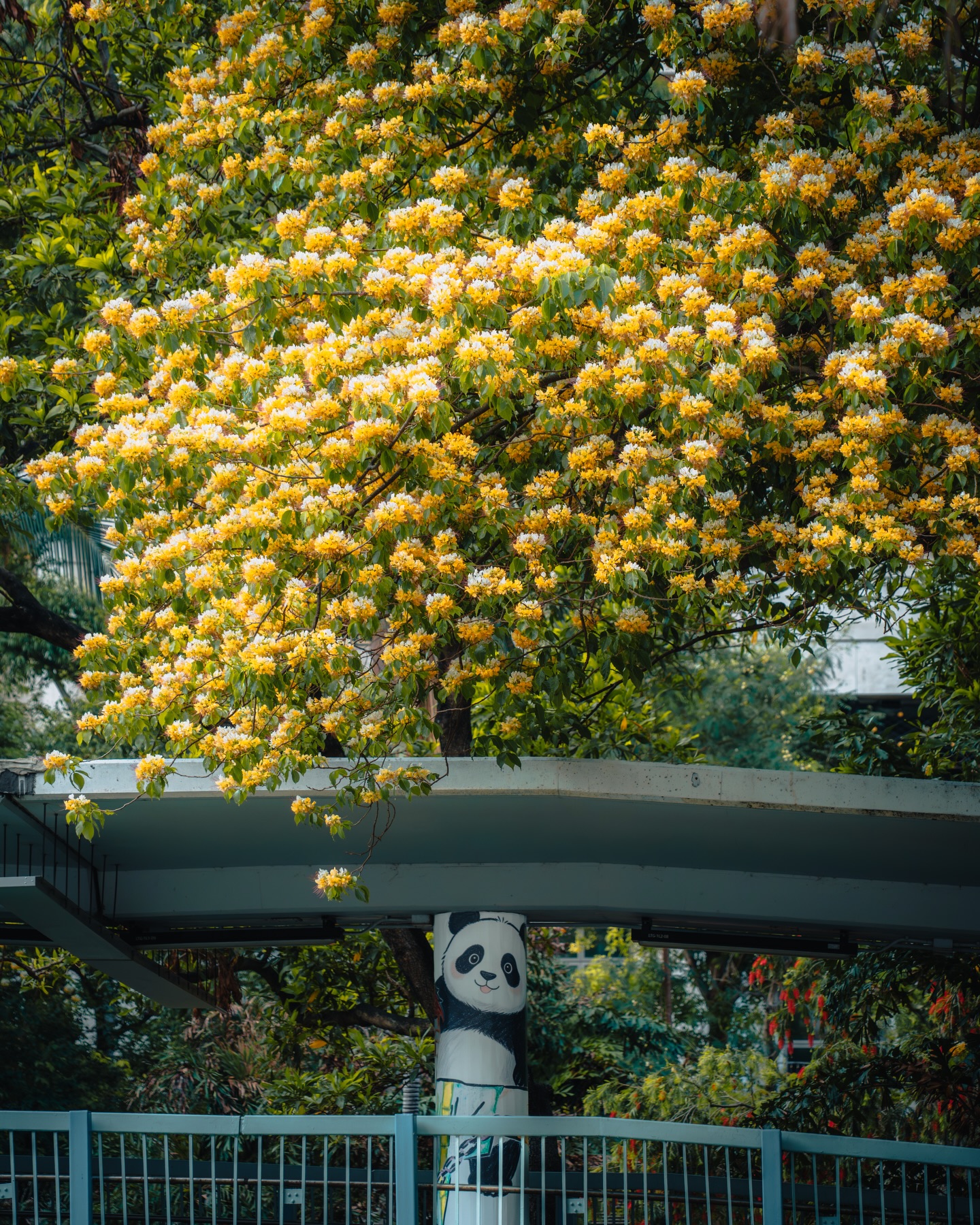 John — Drone Pilot in Hong Kong — Portfolio work 3