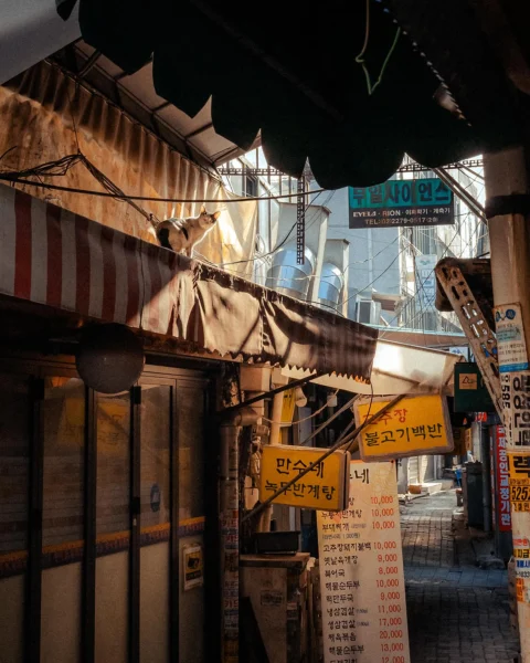 Sean Foley — Photographer in Hong Kong